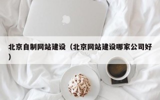 灵宝北京自制网站建设（北京网站建设哪家公司好）