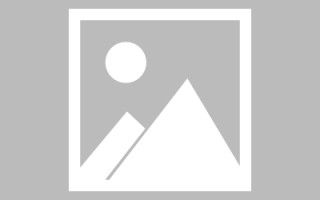 灵宝关于网站建设免费（关于网站建设免费的通知）
